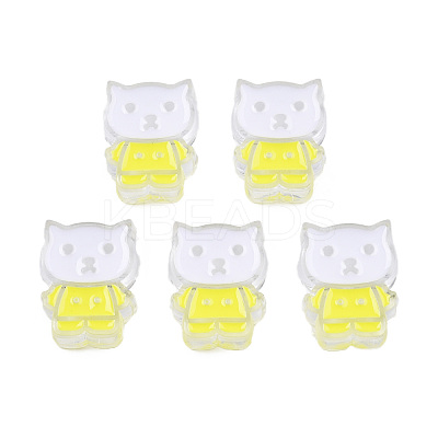 Transparent Acrylic Enamel Beads TACR-N012-005G-1