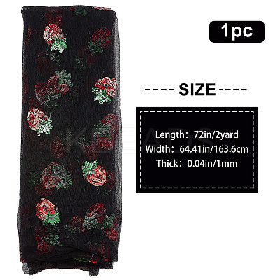 Mesh Embroidered Lace Trim OCOR-WH0073-34B-1