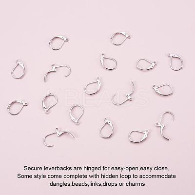 Tarnish Resistant 304 Stainless Steel Leverback Earring Findings STAS-L190-14P-1