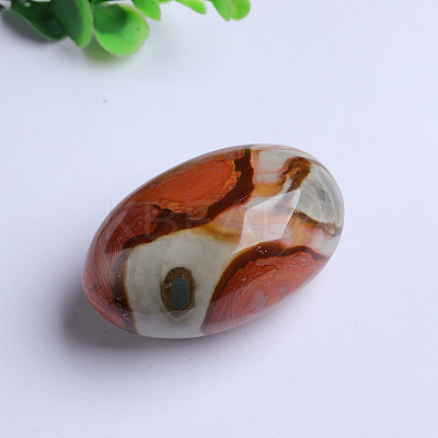 Natural Ocean Agate Oval Healing Stones DJEW-PW0013-48-1