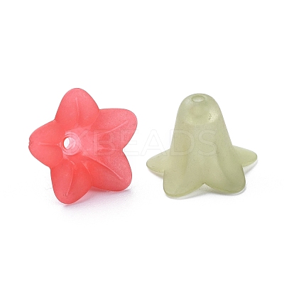 Mixed Color Transparent Acrylic Frosted Flower Beads X-PLF018-1