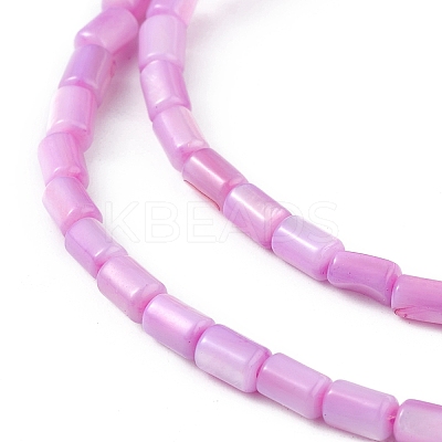 Natural Freshwater Shell Dyed Beads Strands SHEL-M018-12-08-1