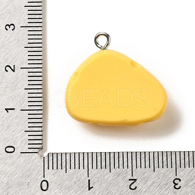 Resin Pendants RESI-A038-02E-1