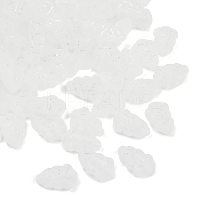 Frosted Transparent Acrylic Beads OACR-P029-04B-01-1