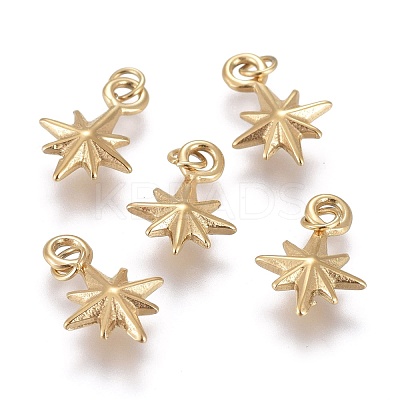Ion Plating(IP) 304 Stainless Steel Charms STAS-I164-020A-1