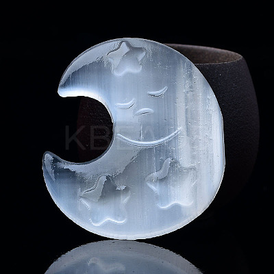 Crescent Moon with Star Natural Selenite Figurines DJEW-PW0021-06-1
