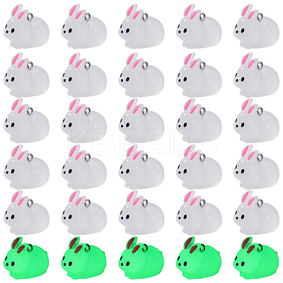 30Pcs Luminous Translucent Resin Pendants RESI-SZ0003-34-1
