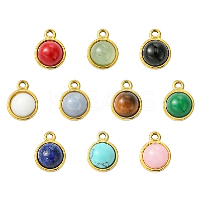 10Pcs 10 Styles Mixed Gemstone Half Round Charms G-CJ0001-81-1