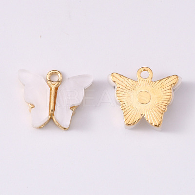 Alloy Acrylic Pendants X-ENAM-R136-01K-1