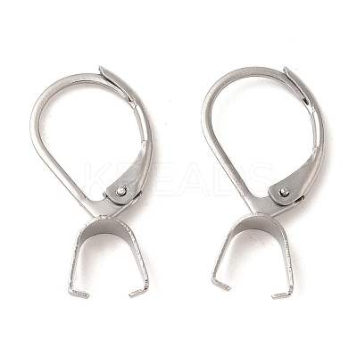 304 Stainless Steel Leverback Earring Findings STAS-U025-01P-01-1