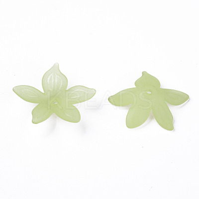 Transparent Acrylic Beads MACR-S373-127-D06-1