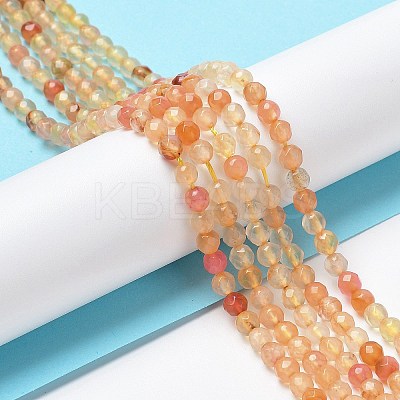 Natural Agate Beads Strands G-Q1000-02B-1