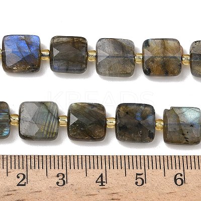 Natural Labradorite Beads Strands G-L642-L02-10mm-1