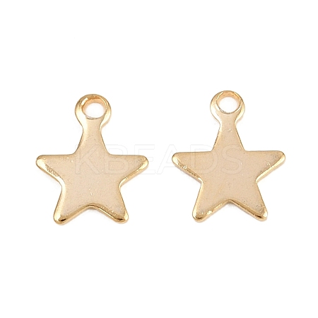 201 Stainless Steel Charms STAS-F039-04A-G-1