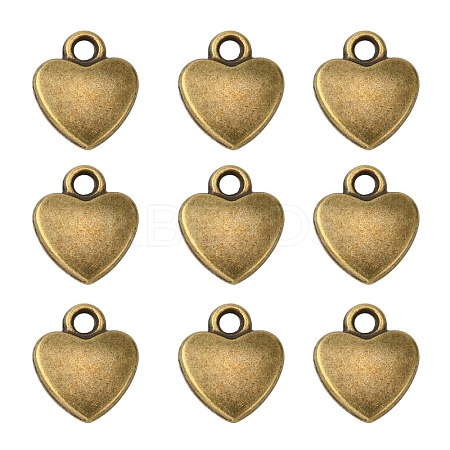 Tibetan Style Alloy Charms MLF1170Y-1