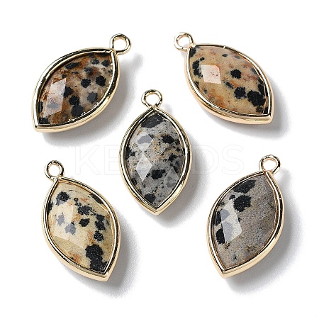 Natural Dalmatian Jasper Pendants G-B009-01G-B-1