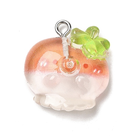 Ocean Theme Transparent Resin Cartoon Pendants CRES-F024-01A-1