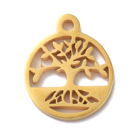 304 Stainless Steel Charms Ion Plating(IP) STAS-C038-02G-1