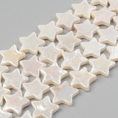 Electroplate Natural Freshwater Shell Beads Strands SHEL-T017-09B-1