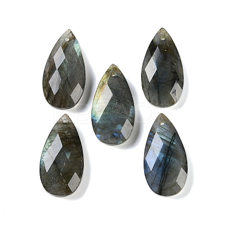 Natural Labradorite Pendants X-G-C140-05J-1