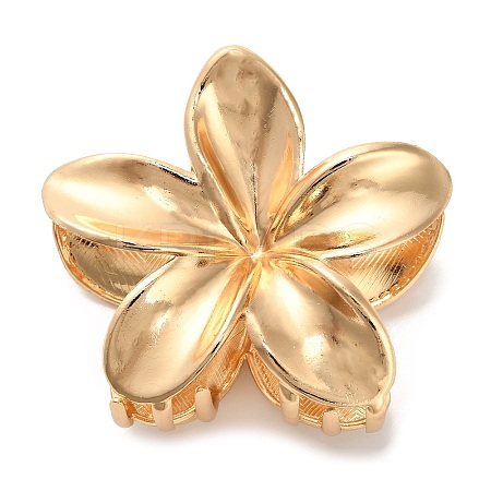 Alloy Claw Hair Clips LS-AJEW-A061-06C-G-1