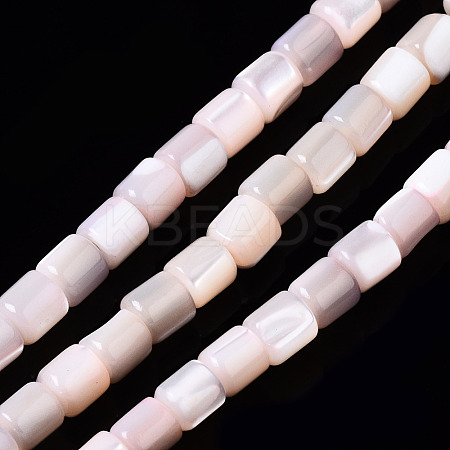 Natural Trochid Shell/Trochus Shell Bead Strands SSHEL-N034-77-C05-1