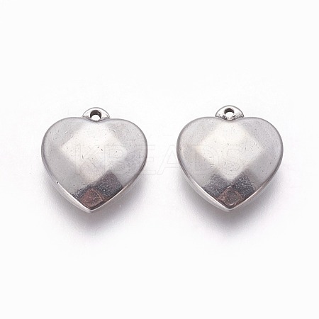 Tarnish Resistant 304 Stainless Steel Pendants STAS-P231-16P-1