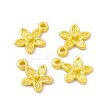 Rack Plating Alloy Charms LS-FIND-G045-05MG-3
