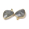 Faceted Natural Labradorite Pendants X-G-F340-02D-1