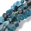 Raw Rough Natural Apatite Beads Strands G-B065-C21-1