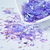 Plastic Candy Sequins/Paillette Chip DIY-I019-01E-1