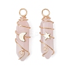 2Pcs 2 Styles Natural Amethyst/Green Aventurine/Rose Quartz/Lapis Lazuli/Quartz Crystal Double Terminated Pointed Pendants PALLOY-JF03122-2