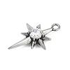 316 Surgical Stainless Steel Micro Pave Cubic Zirconia Pendants X-STAS-G349-01AS-02-2