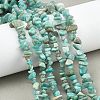 Natural Amazonite Beads Strands G-K409-A01-01-1