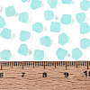 FGB Frosted Transparent Glass Seed Beads SEED-N013-03A-10-4
