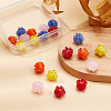 20Pcs 5 Colors Handmade Lampwork Beads LAMP-OC0001-29-4