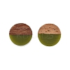 Opaque Resin & Walnut Wood Stud Earrings EJEW-N017-008-B08-4