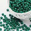 Baking Paint Glass Seed Beads SEED-US0003-4mm-K26-1