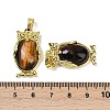 Natural Tiger Eye Pendant KK-F887-02G-07-3