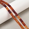 Natural Red Agate(Dyed & Heated) Beads Strands G-P595-A02-01-1