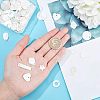 Natural Freshwater Shell Charms/Pendants SHEL-NB0001-03-3
