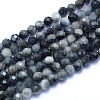 Natural Hawk's Eye Beads Strands G-I279-E14-03-1