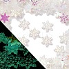Luminous & Electroplate Resin Decoden Cabochons RESI-Z032-01B-1