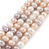 Natural Cultured Freshwater Pearl Beads Strands PEAR-C003-13E-2