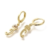 Brass Clear Cubic Zirconia Hoop Earrings EJEW-M045-01J-2