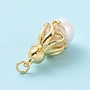 Shell Pearl Pendants KK-C004-10G-4
