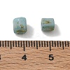 Opaque Colours Glass Seed Beads GL-CBAC3F6-02D-3