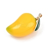Fruit Theme Resin Big Pendants FIND-E053-01A-G-2