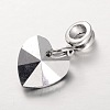 Large Hole Alloy European Dangle Charms PALLOY-JF00041-03-2