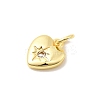 Brass Micro Pave Cubic Zirconia Charms LS-KK-C139-25D-G-2